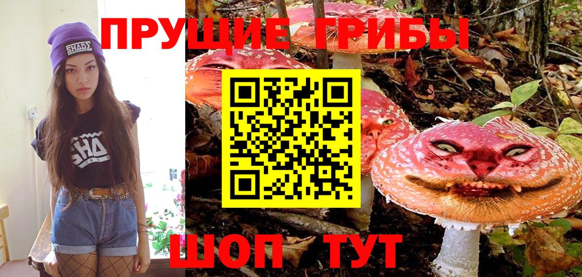 Псилоцибиновые грибы Psilocybine cubensis Краснодар