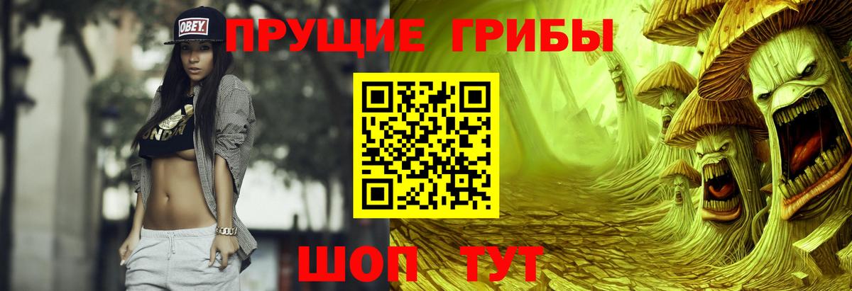 Галлюциногенные грибы GOLDEN TEACHER  Псилоцибиновые грибы Magic Shrooms  Вход с VPN  Краснодар 